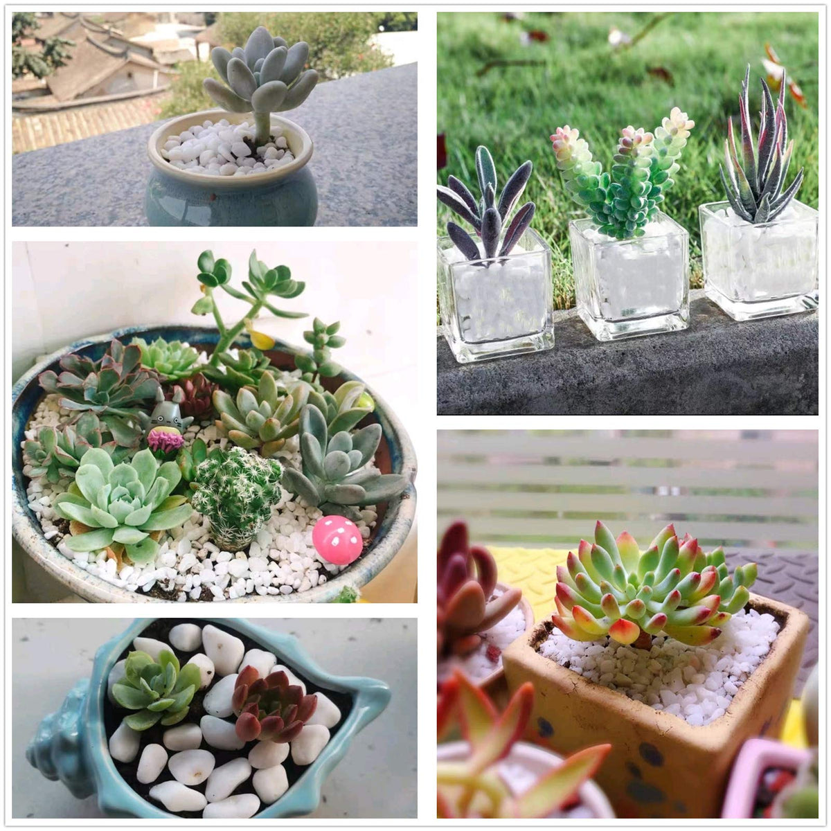 OUPENG decorative white pebbles brighten terrariums and crafts
