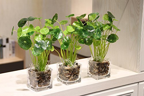OUPENG pebbles brighten floral arrangements and centerpieces.