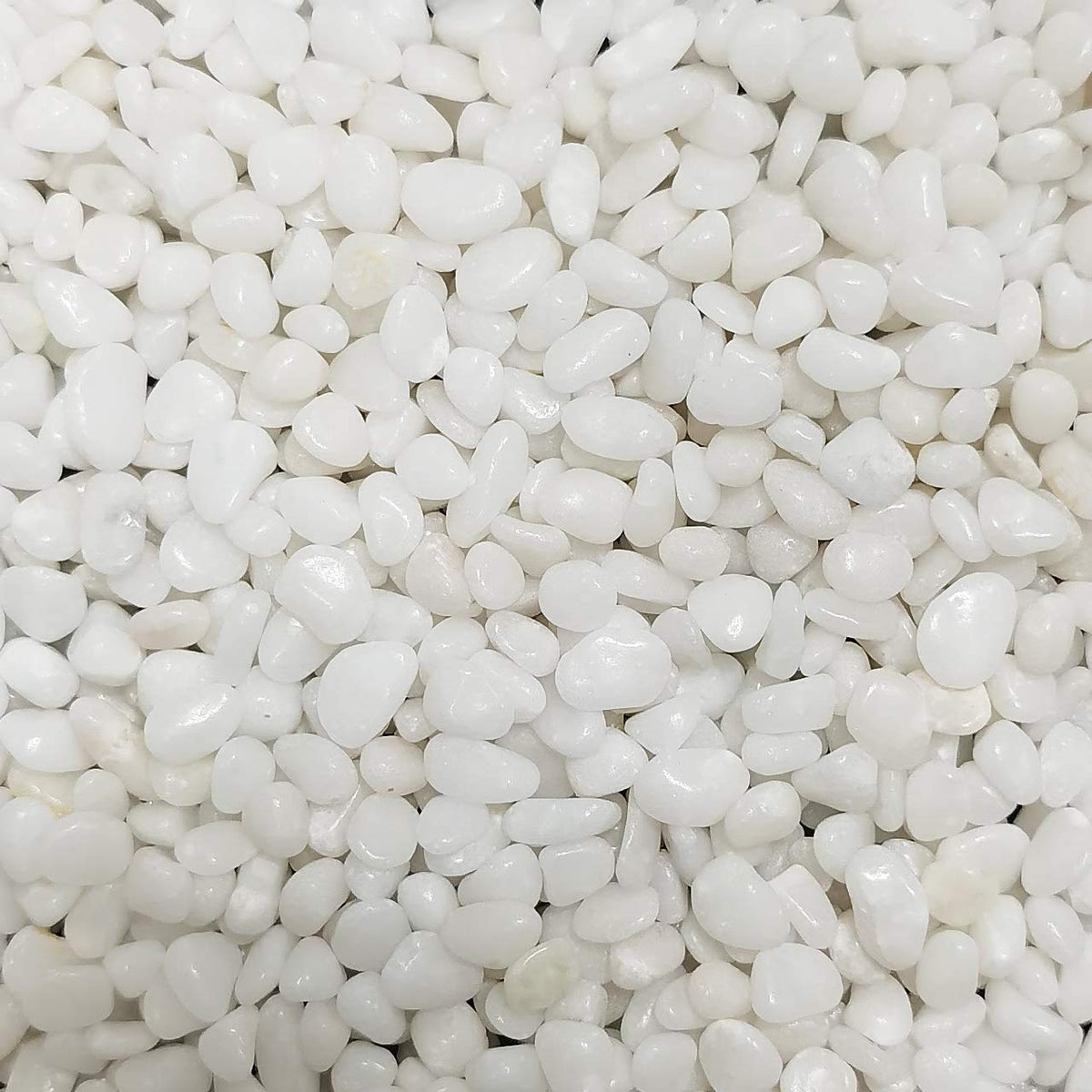 OUPENG pebbles around potted plants provide neat soil cover.