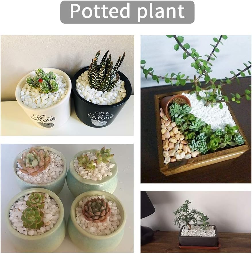 OUPENG white river pebbles with smooth gloss ideal for indoor planter accents.