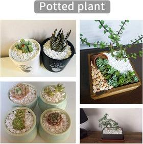 OUPENG white river pebbles with smooth gloss ideal for indoor planter accents.