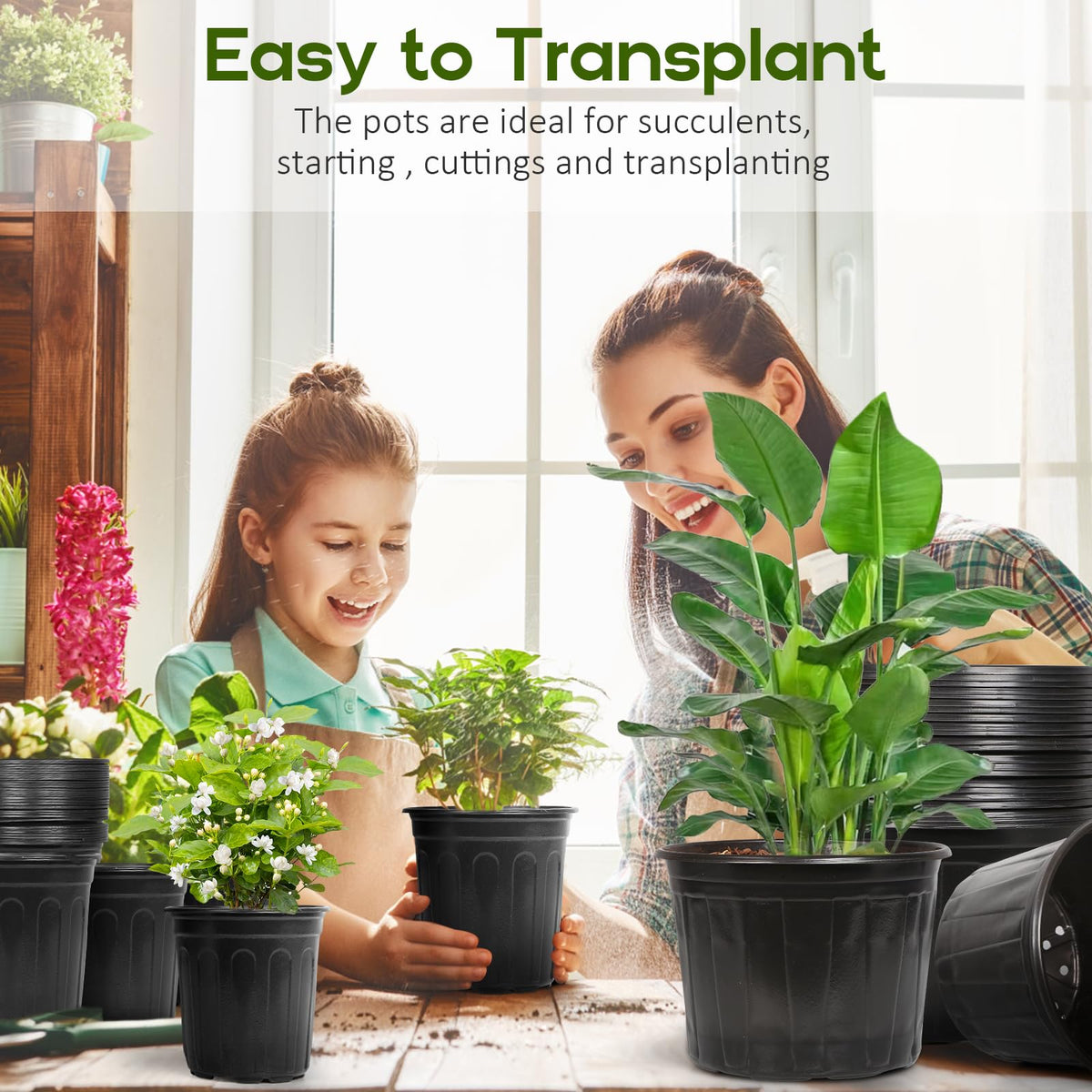 Oupsaui 1–5 gallon options cover seedlings to mature plants for various spaces.
