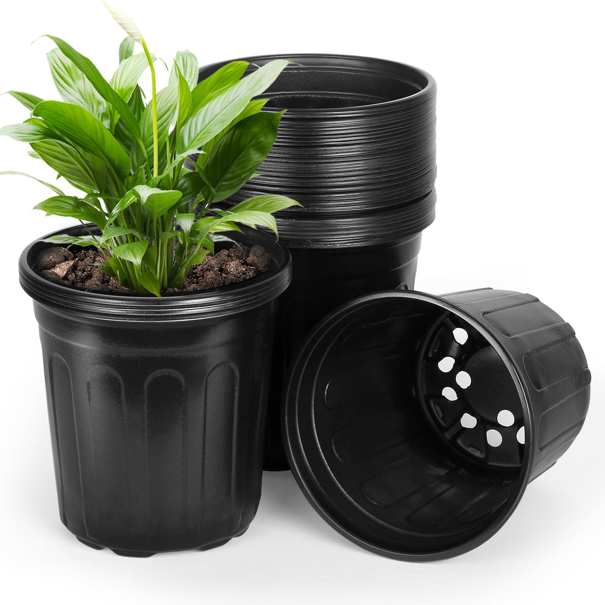 OUPSAUI 2-gallon pot viewed from the top, ideal for seedling starts.