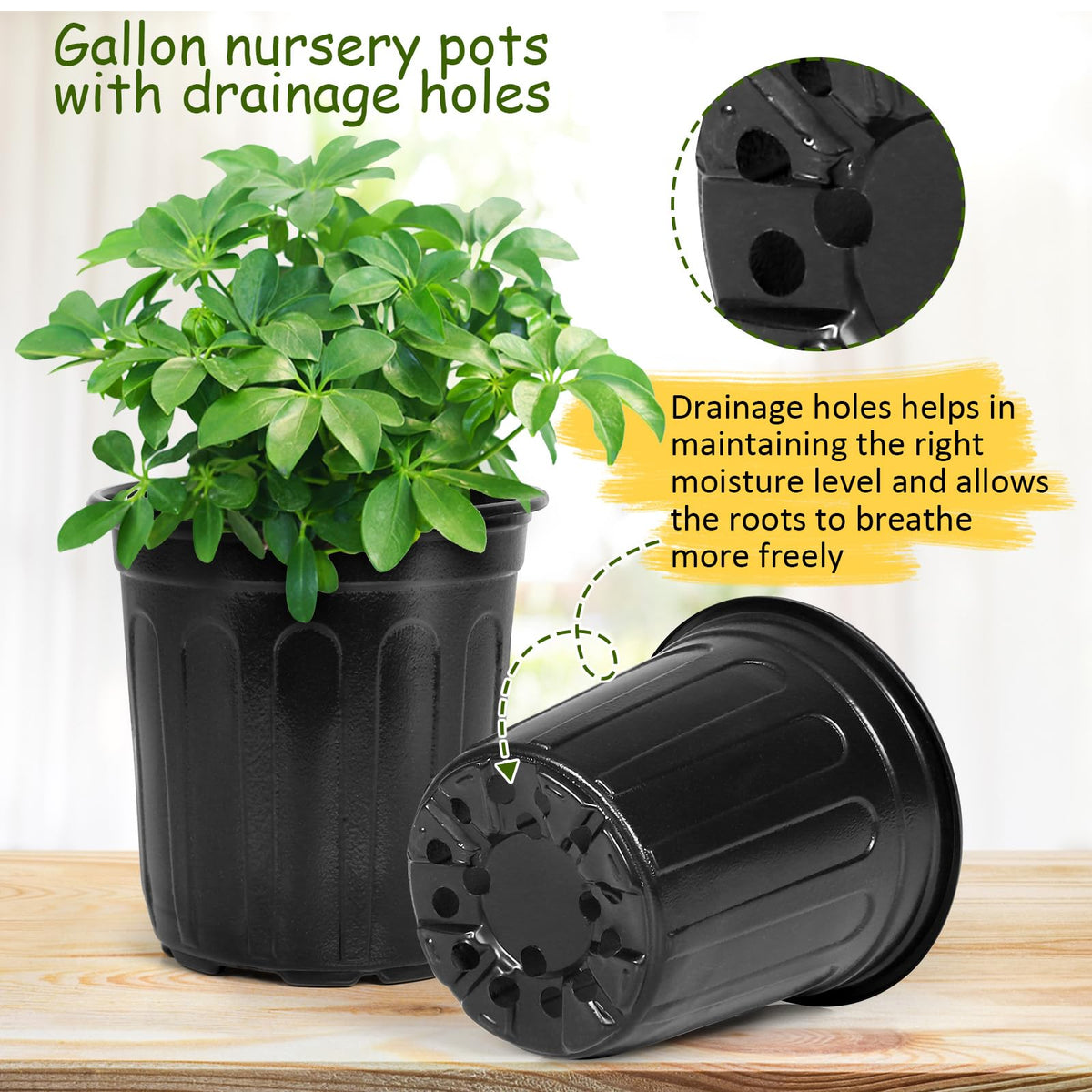 Oupsaui 3-gallon pot depth supports precise irrigation planning and plant maturity.