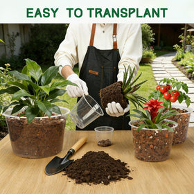 OUPSAUI 12-inch clear plant pot offers space for larger vegetables and blooms