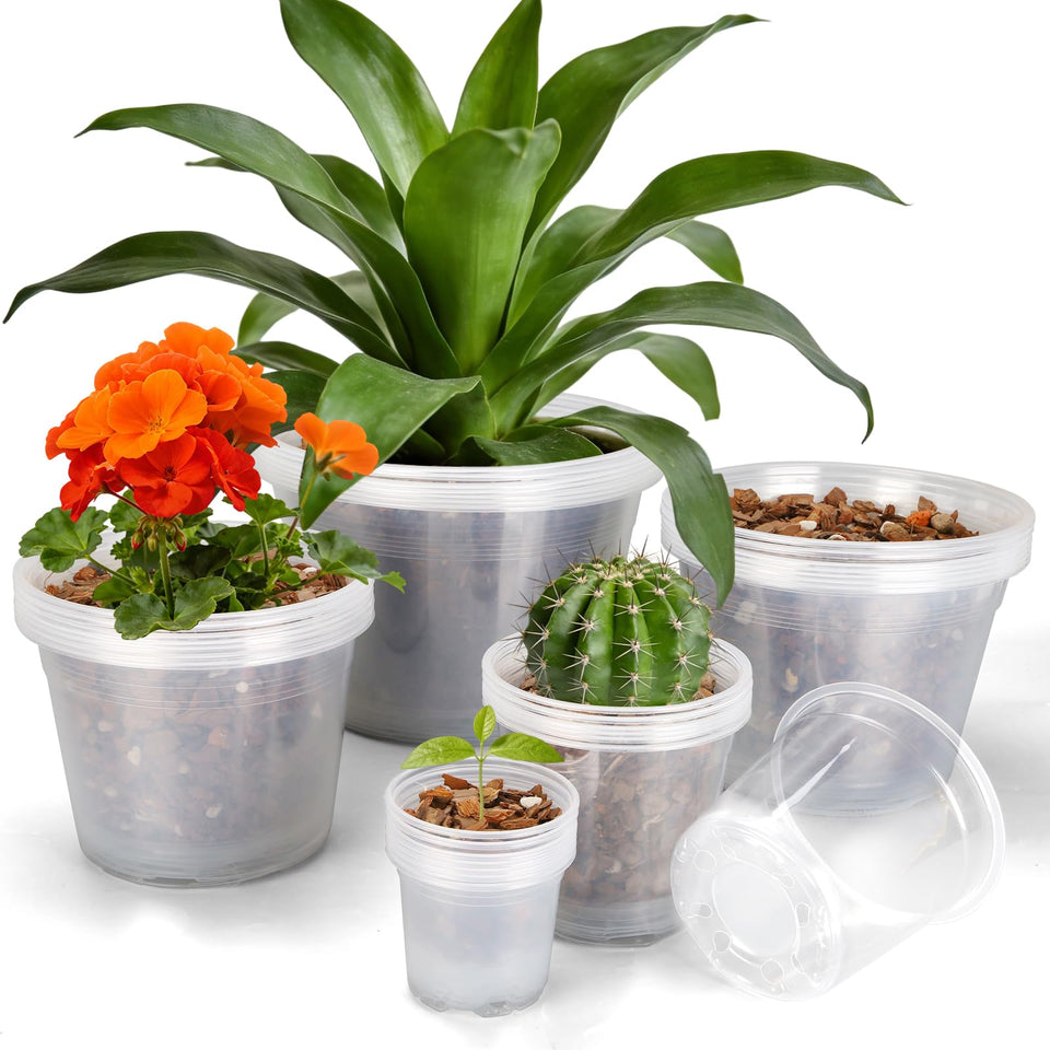 OUPSAUI clear 4-inch nursery pot with drainage holes for healthy seedling growth