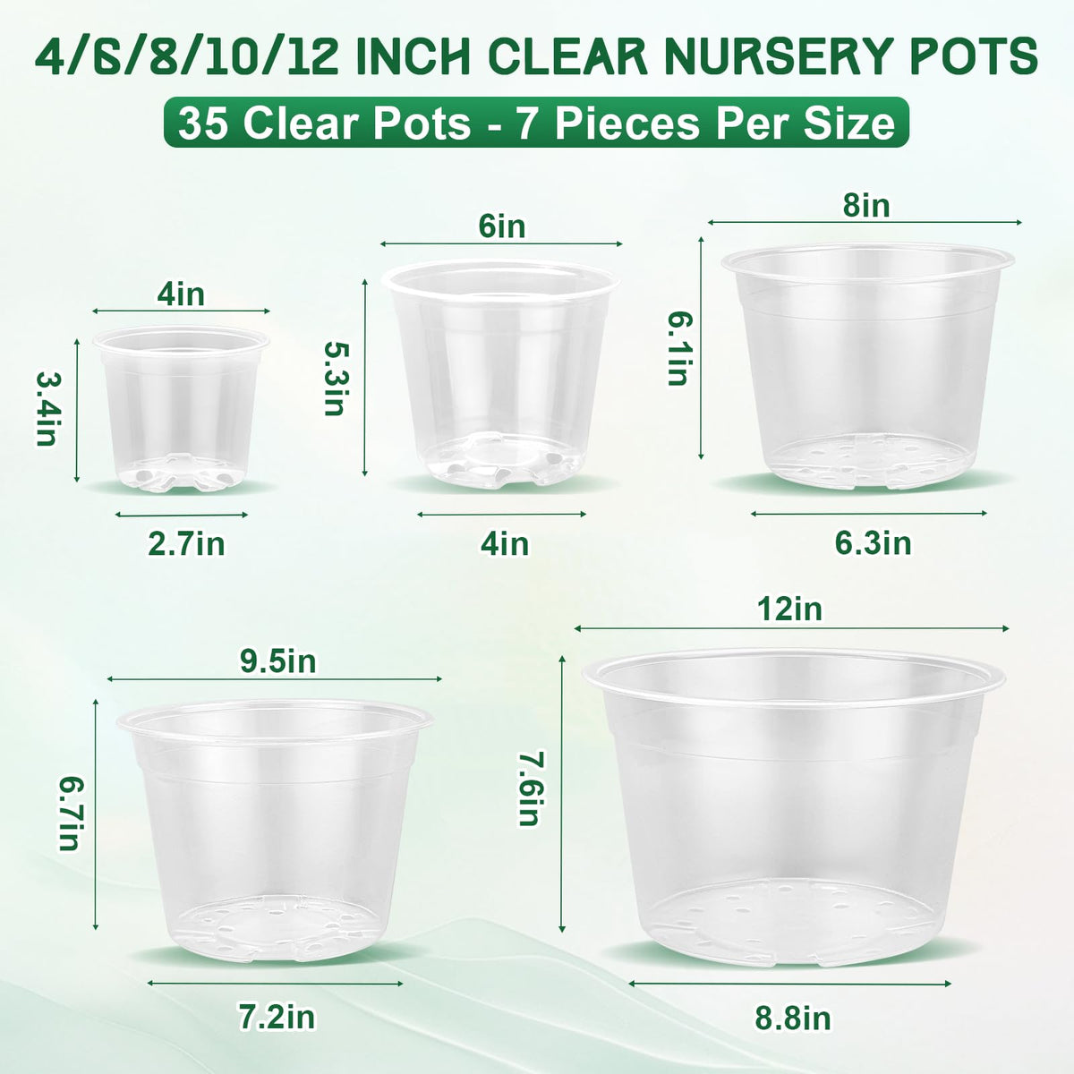 OUPSAUI clear 6-inch pot reveals root development through transparent walls