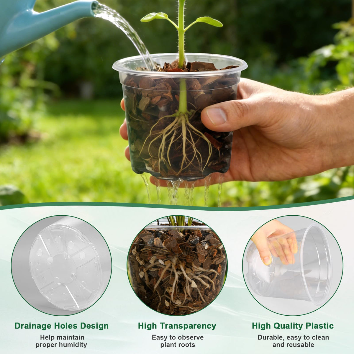 OUPSAUI clear 8-inch seedling planter enables easy transplanting and root monitoring