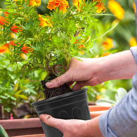 Oupsaui outdoor-friendly pots suit balcony gardens and greenhouse setups.