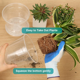 OUPSAUI transparent root view pot for monitoring root health