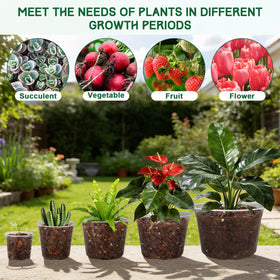 OUPSAUI transparent seedling pot used as inner pot for decorative planters