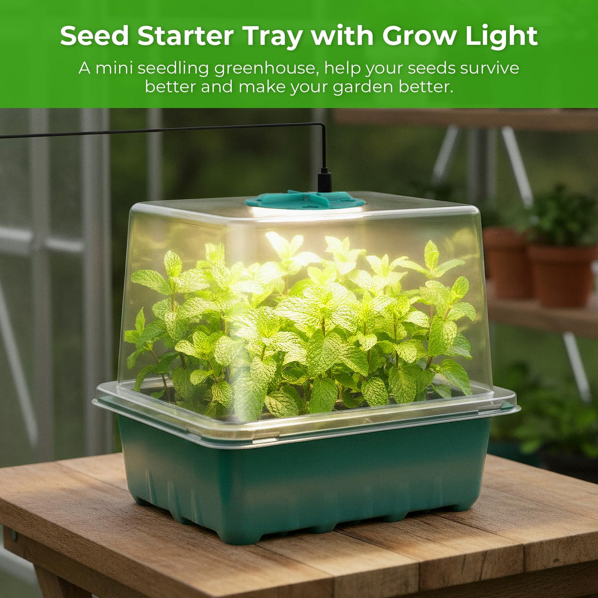 Ourhom indoor seedling kit supports compact garden setups.