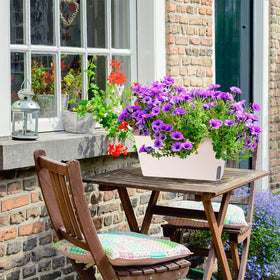 OurWarm three-planter set fits windowsills, desks, and countertops.