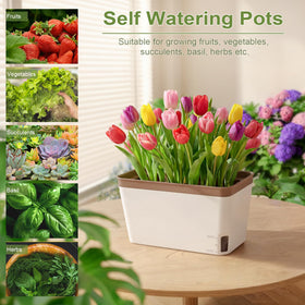 10.5-inch wide planter fits windowsills, counters, and small balconies.