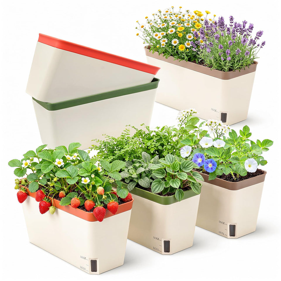 OurWarm self-watering pot window box 6-pack keeps herbs thriving on sunny sills.