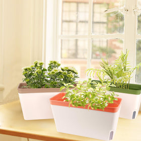 OurWarm green color planter in a kitchen window suitable for herbs