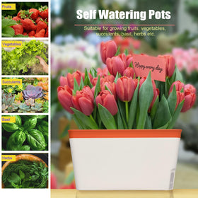 OurWarm orange color planter on a balcony for vibrant herb growing