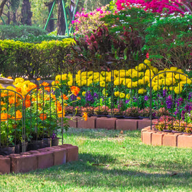 OUSHENG fence acts as extra barrier protecting plants from small animals.