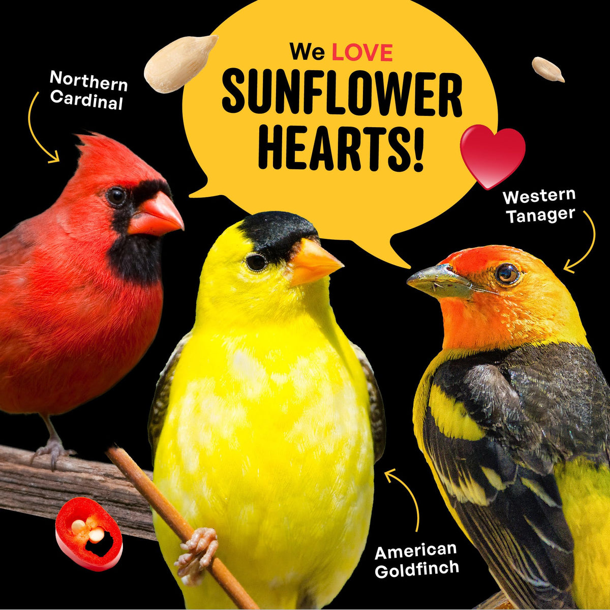 Cool Birds Hearts on Fire works with tube, tray, and other outdoor feeders.