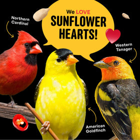 Cool Birds Hearts on Fire works with tube, tray, and other outdoor feeders.