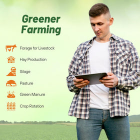 Outsidepride alfalfa fostering lush green pasture stand for grazing