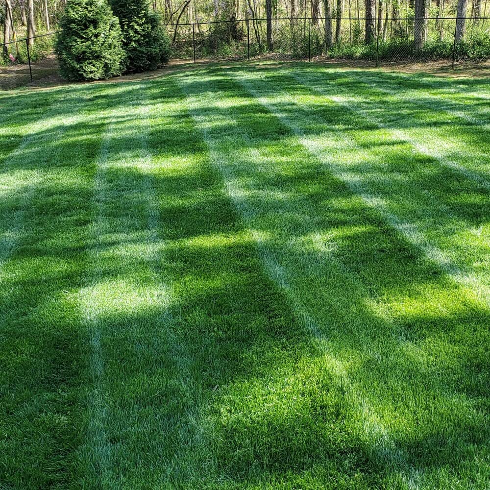 Outsidepride Aquatek moisture-retention feature aids germination and growth.