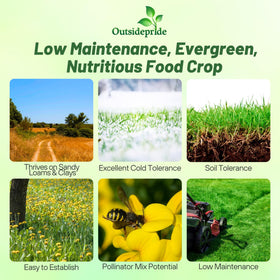 Outsidepride nitrocoated Birdsfoot Trefoil seeds for faster establishment in pastures.