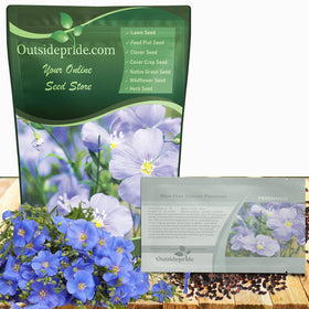 Outsidepride Blue Flax Seeds bloom with sky-blue flowers for vibrant border displays.