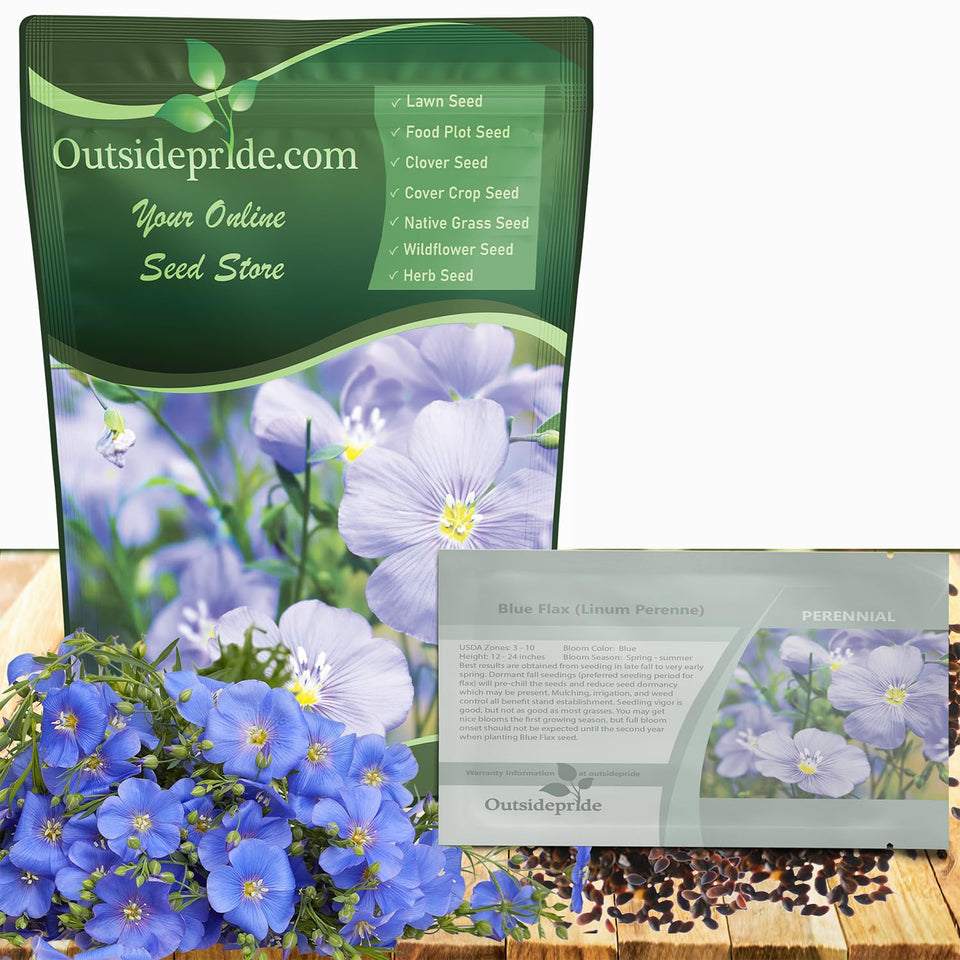 Outsidepride Blue Flax Seeds bloom with sky-blue flowers for vibrant border displays.