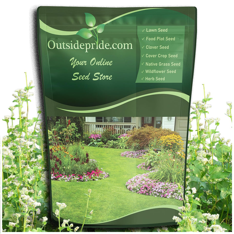 Outsidepride buckwheat seeds bag ready for planting in the garden