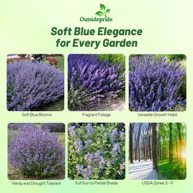 Outsidepride Catmint aromatic leaves invite cats to explore and play.