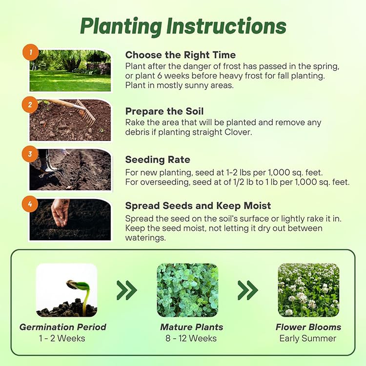 Outsidepride clover seed for erosion control on slopes and banks.