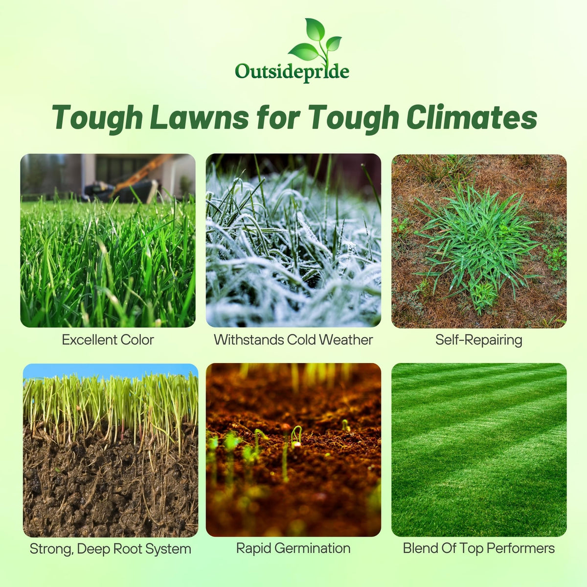 Outsidepride Combat Extreme Northern Zone OptiGrowth coated seeds improve germination.