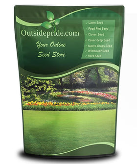 Outsidepride creeping red fescue seed bag close-up for resilient cool-season lawn