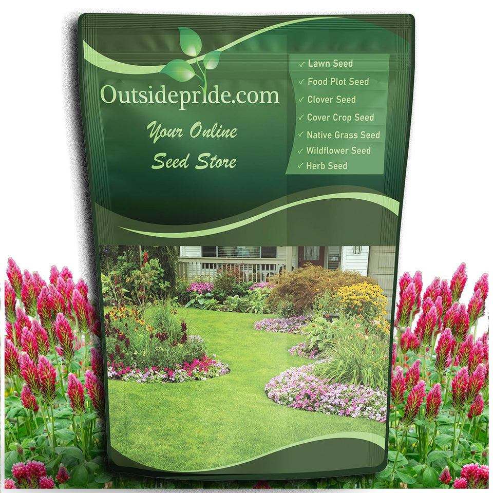 Outsidepride Crimson Clover seeds 5lb bag for soil health and wildlife forage.