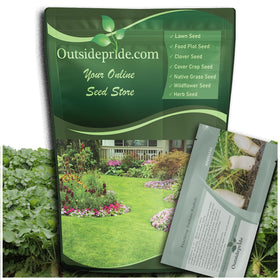 Outsidepride Daikon radish seeds pack ready for planting in home gardens to boost soil health.