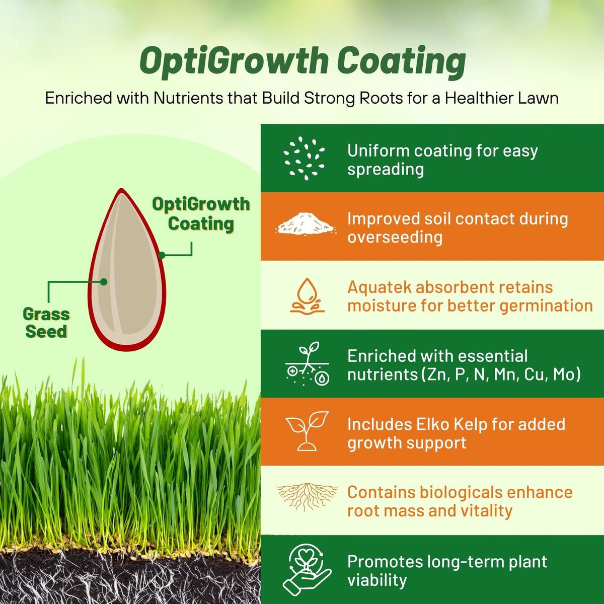 Outsidepride deep root system visual emphasizing drought resilience and stability.