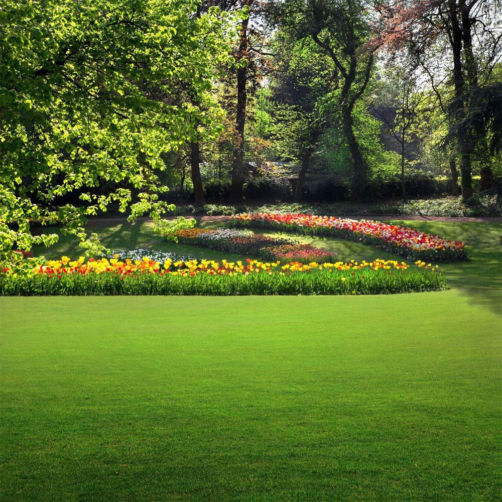 Outsidepride deep-rooted rhizomes provide year-round green cover