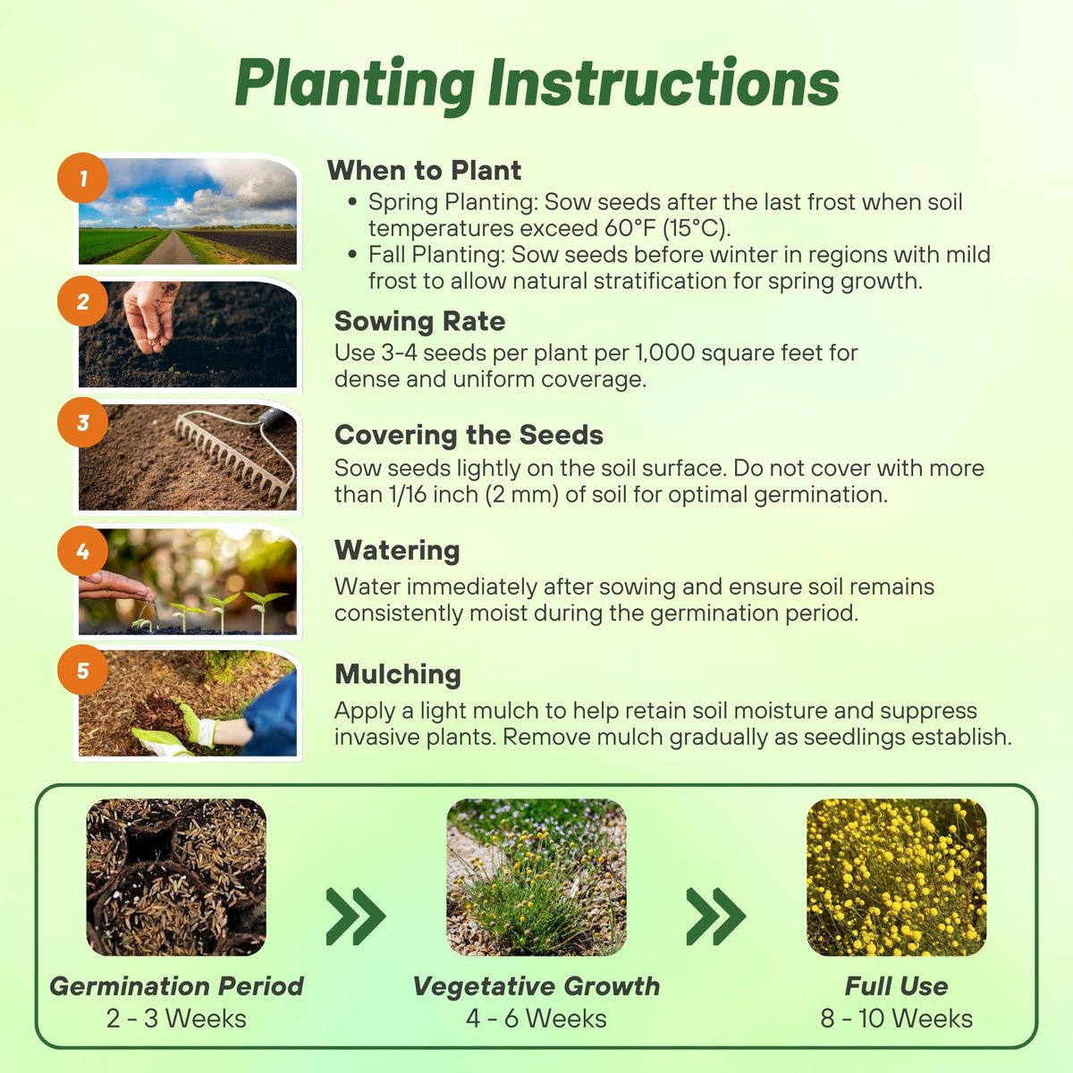 Deer-deterrent Craspedia blooms from Outsidepride help protect garden edges.