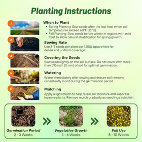 Deer-deterrent Craspedia blooms from Outsidepride help protect garden edges.