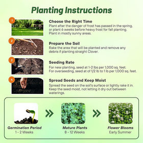 Outsidepride deer food plot friendly clover enhances wildlife-friendly pasture mixes.