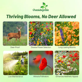 Outsidepride deer-proof wildflower seed mix flower closeup showing nectar-rich blooms.