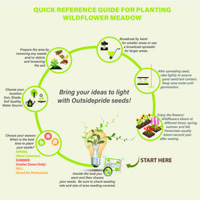 Outsidepride deer-proof wildflower seed mix garden ideas for year-round color.