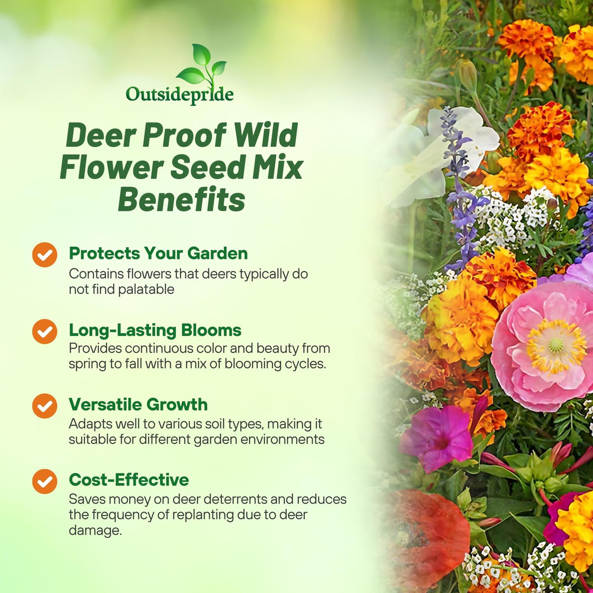 Outsidepride deer-proof wildflower seed mix meadow view with colorful, low-maintenance blooms.