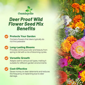 Outsidepride deer-proof wildflower seed mix meadow view with colorful, low-maintenance blooms.