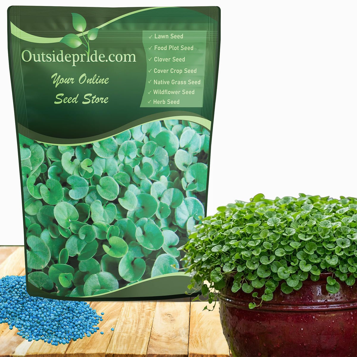 Outsidepride Dichondra Repens forms a dense green carpet ideal for lawn replacement.