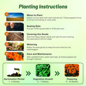 Outsidepride drought-tolerant California poppies ideal for low-water garden beds.