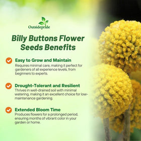 Drought-tolerant Outsidepride seeds fit low-water landscapes.
