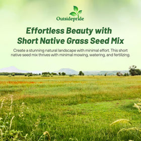 Outsidepride drought-tolerant seeds shown, ideal for heat-tolerant landscaping.