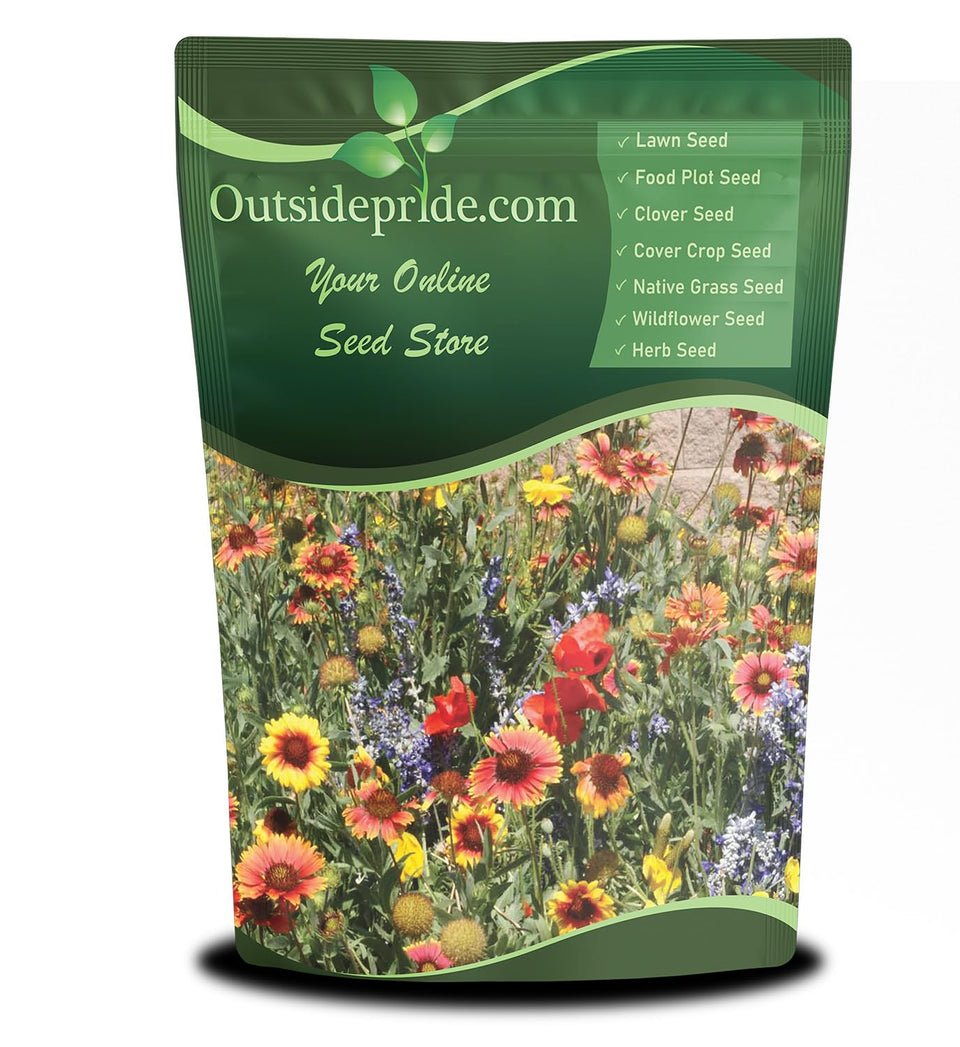Outsidepride Dryland Wildflower Seed Mix bloom in arid sun for vibrant color